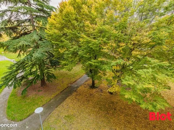 Appartement 3 pièces 69 m²
