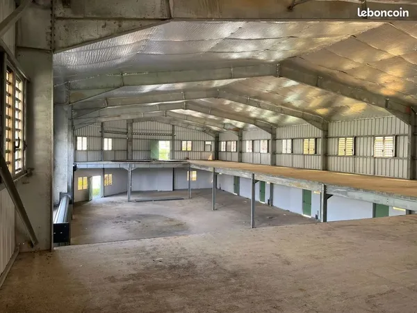 Local 904 m² Remire-Montjoly