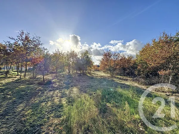 Terrain 7048 m²