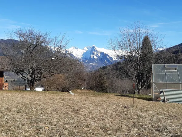 Terrain 1154 m²