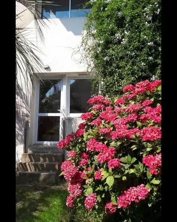 Appartement à louer meublé