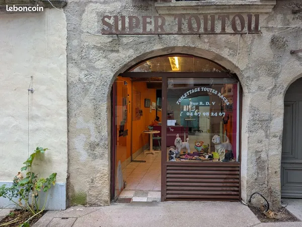 Vente Local commercial Centre ville Pezenas