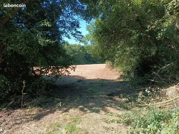 Terrain 7000 m2