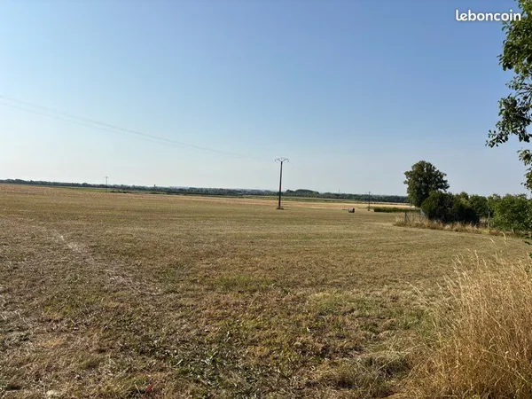 Terrain à bâtir 11000m2