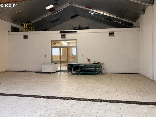 LOCAL PROFESSIONNEL / STOCKAGE OU ARTISAN - 660 m²