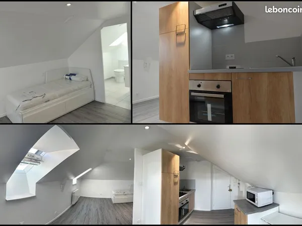 Appartement entièrement rénové