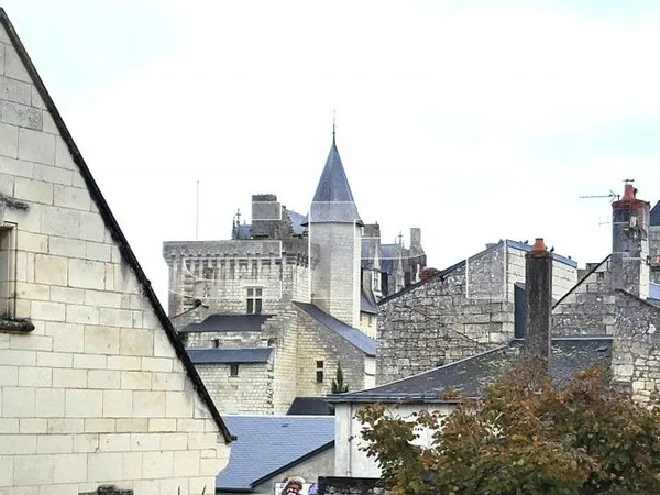 Château 6 pièces 230 m²