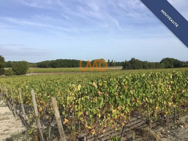 Terrain 28000 m²