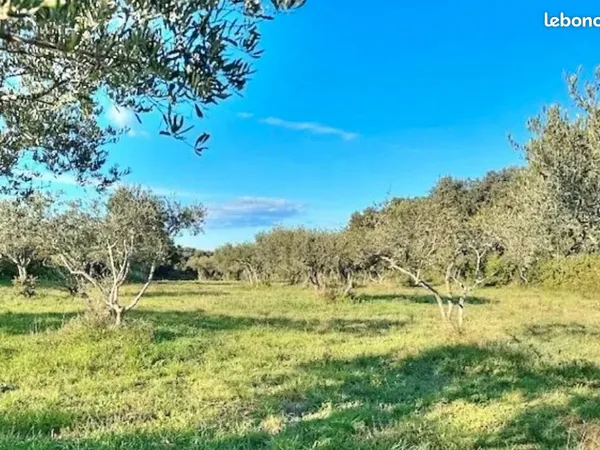 Terrain 1 700 m² Saint Siffret