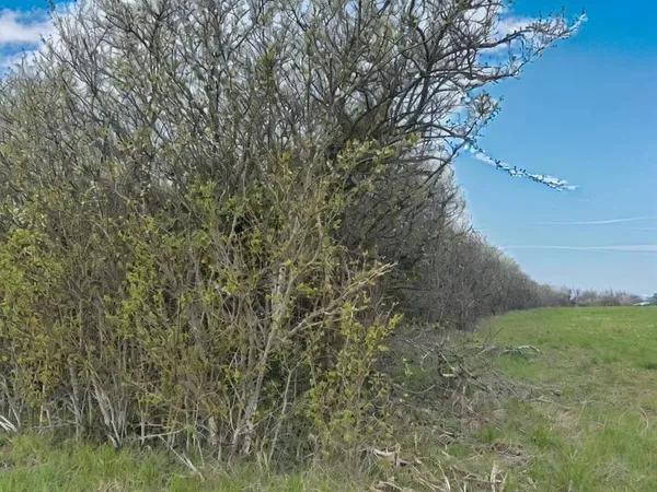 Terrain 2409 m²