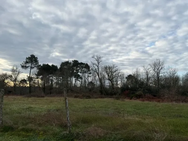 Terrain 549 m²