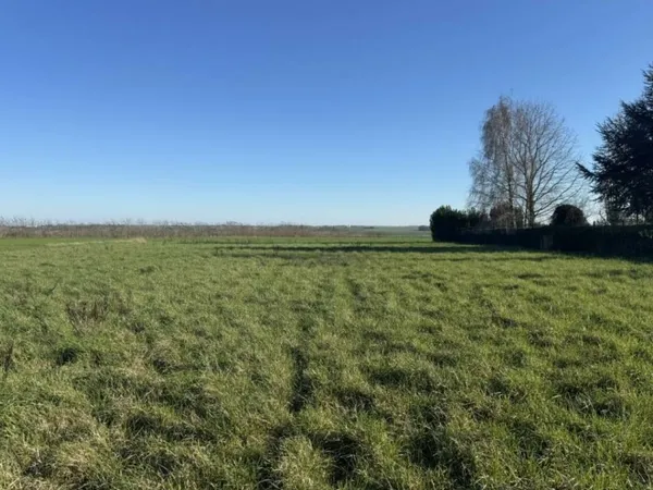 Terrain 1593 m²