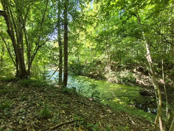 Bien agricole et foncier Vente La Ferté-sous-Jouarre   118500€