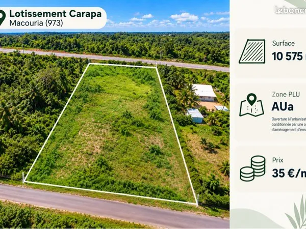 Terrain double entree 1hectar carapa