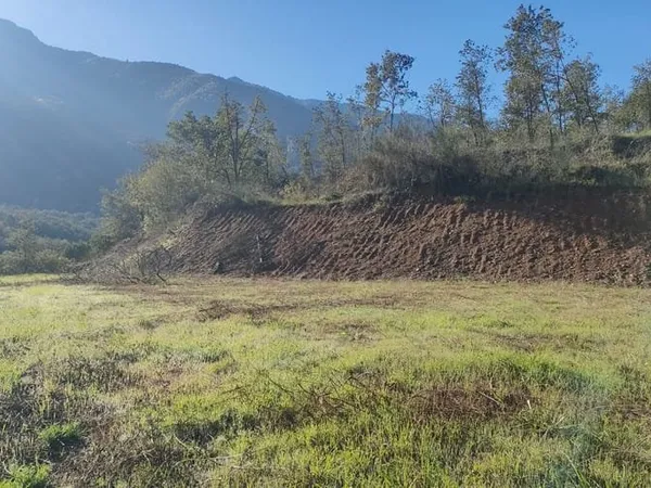 Terrain 1307 m²