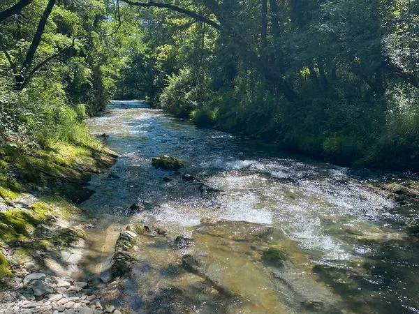 Grand terrain bord de rivière