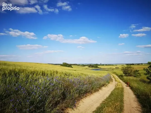 Terrain 751 m²