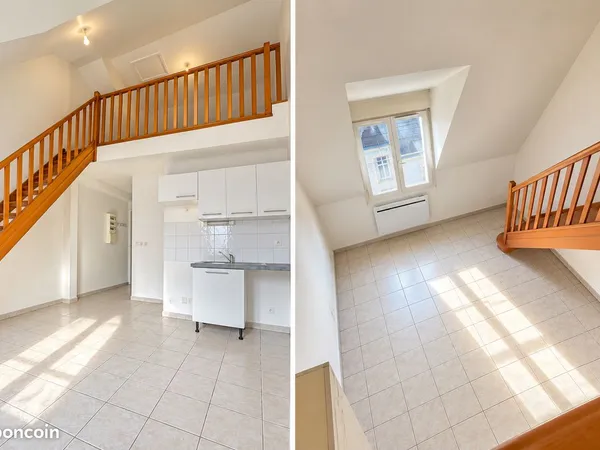 à vendre - t2 bis avec mezzanine - tours - proche hôpital bretonneau - 160 000