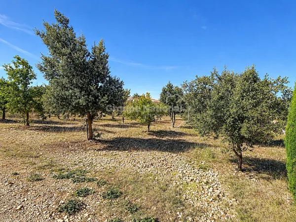Terrain Bouchet 700m2