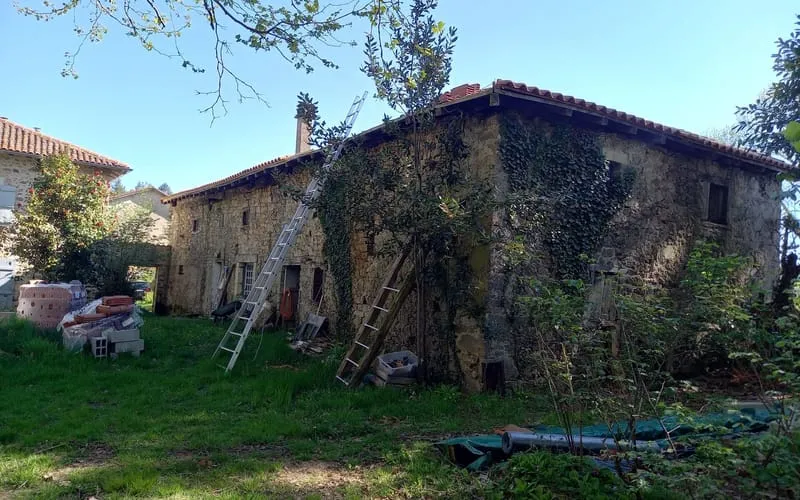 Photo 11