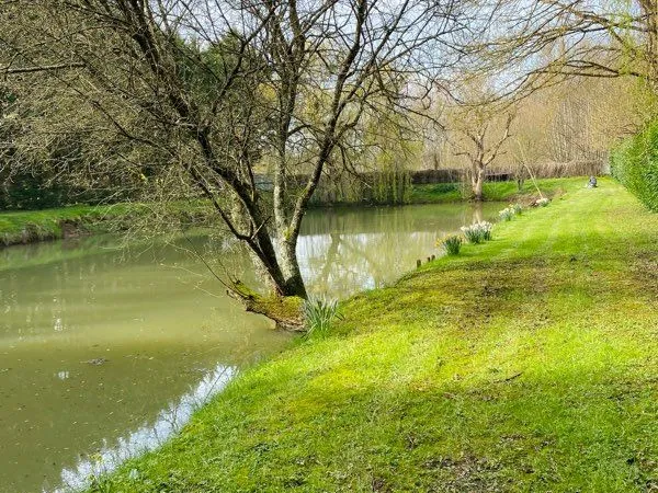 Plan d'eau Vente Aubigny  8000m² 57000€