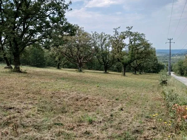 Terrain constructible 1851 m2 prix en baisse