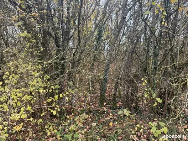 Bien agricole et foncier Vente Damas-aux-Bois  4045m² 6000€