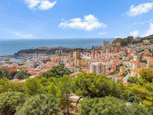 Terrain 4460 m²