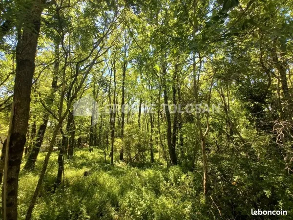 Terrain 2400 m² CASTELNAUDARY