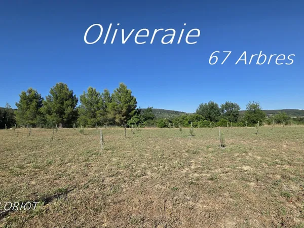 Terrain agricole 3814 m²