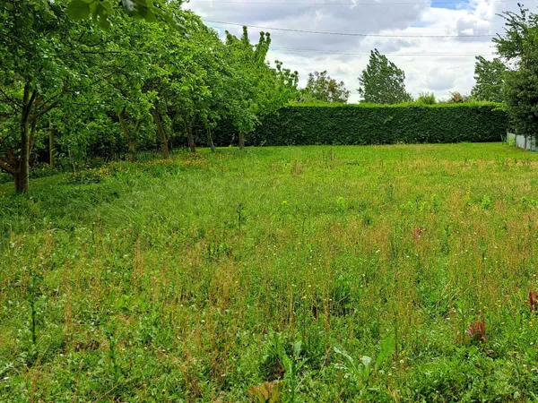 TERRAIN DE LOISIRS
