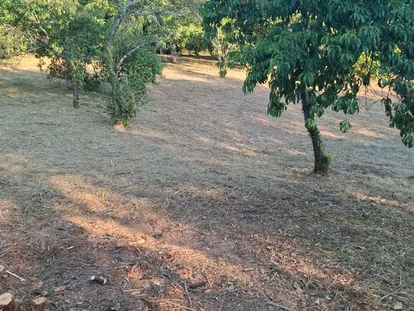 Terrain a vendre
