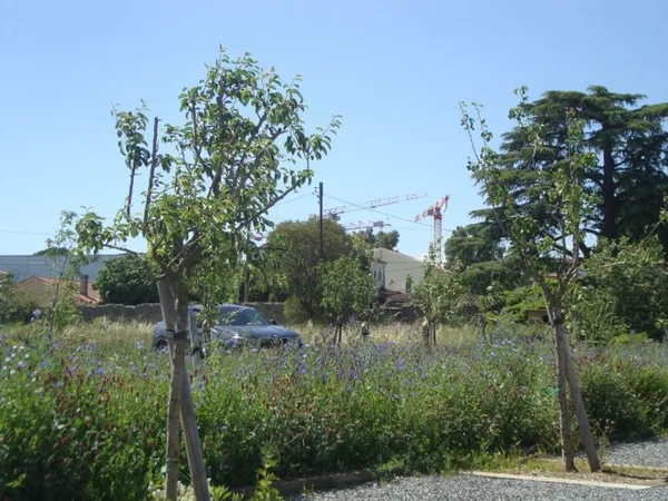 Terrain 255 m²
