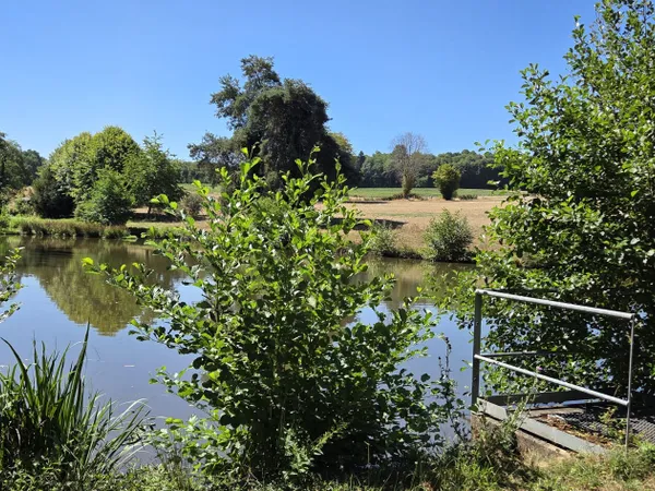 Terrain en individuel 5300 m²