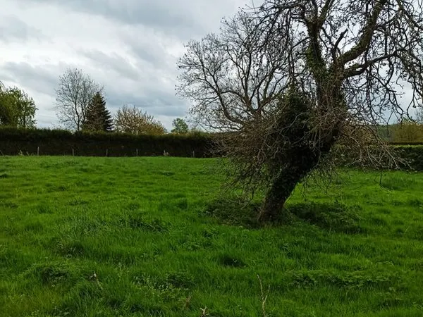 Terrain 765 m2