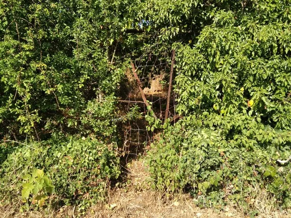Terrain Vente Valleroy  550m² 5500€
