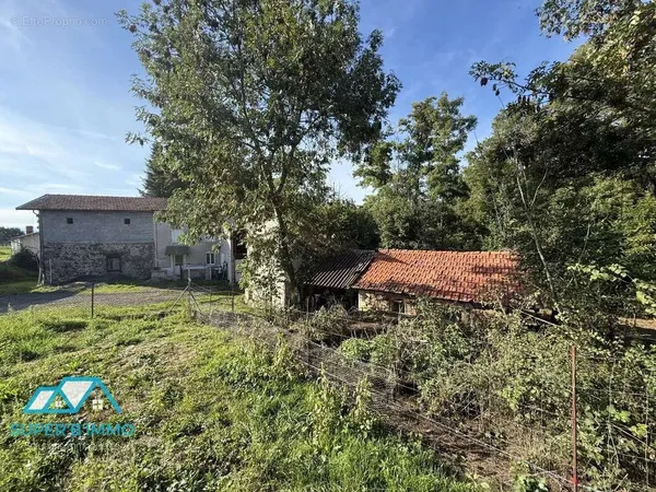 Maison - dependances - terrain