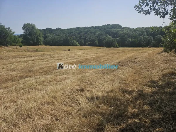 MONTIGNAC TERRAIN DE 1700 M2 A VENDRE