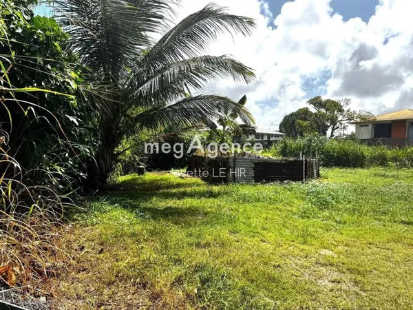 Terrain 1977 m²