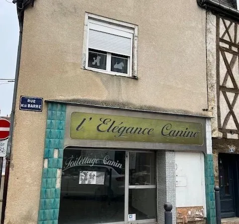 Immeuble centre historique de Nevers