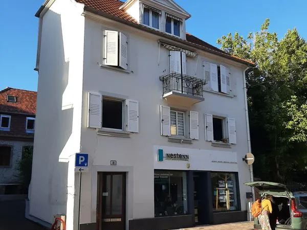Charmant spacieux T4 en centre-ville de Haguenau