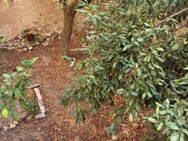 T2 avec jardin et garage