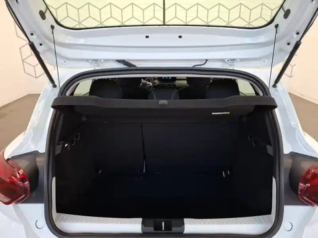 Dacia Sandero eco-g 100 - 22 — photo 16