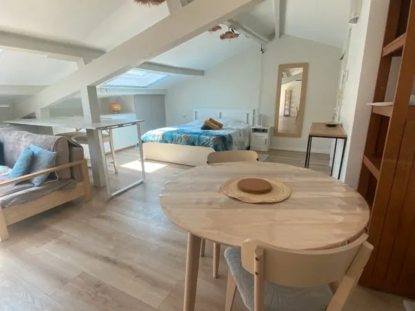 Loft revenus airbnb ++