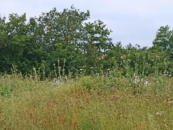 Terrain 669 m²