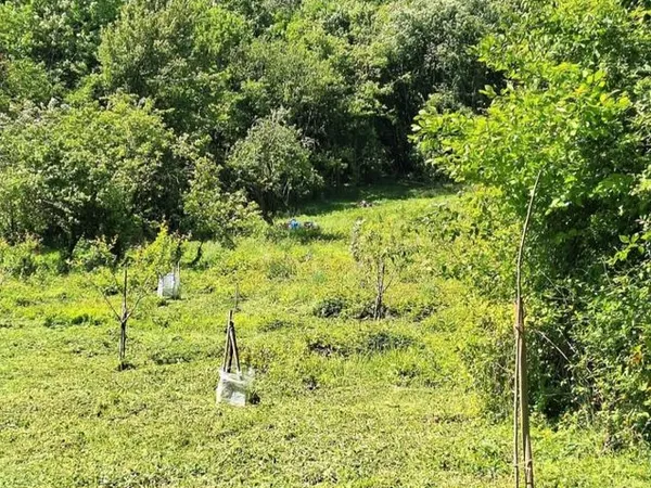 Bien agricole et foncier Vente Rombas 24900€