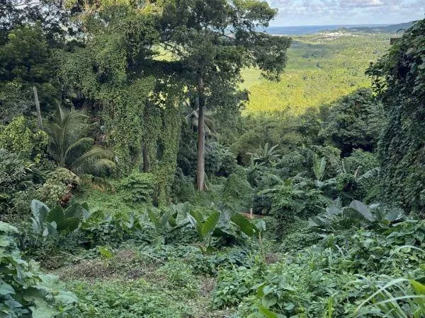Terrain 1523 m²