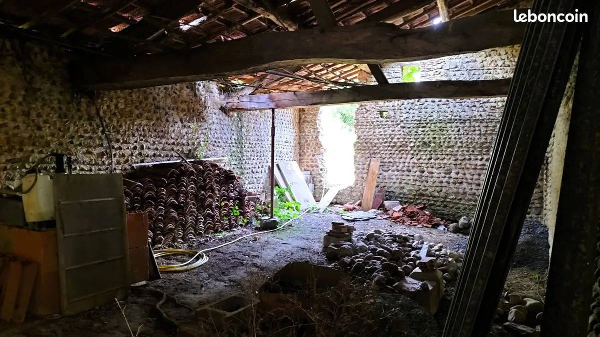 Photo 19