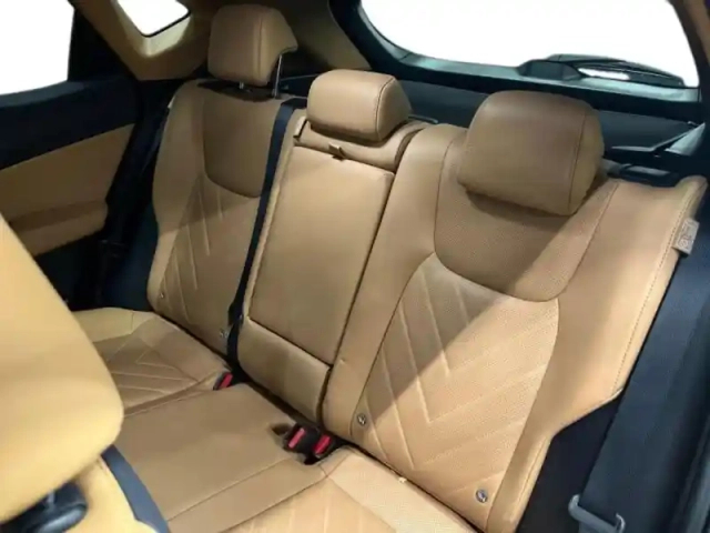 Lexus Nx 450h+ executive 4wd — photo 13
