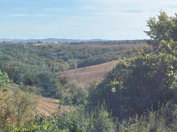 Terrain 1040 m²